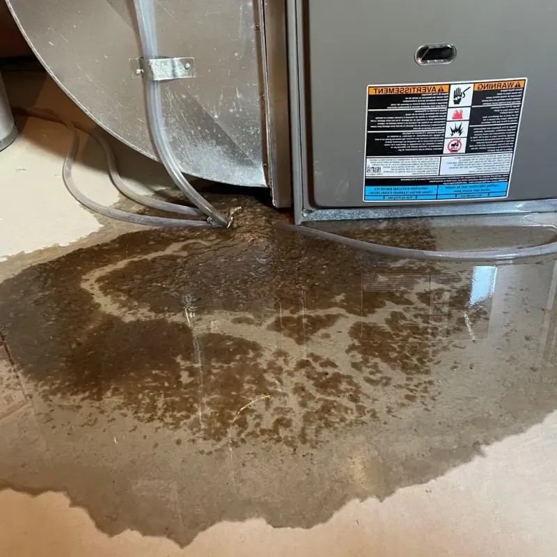 Pipe Burst and Leak Restoration in Valley Falls, RI