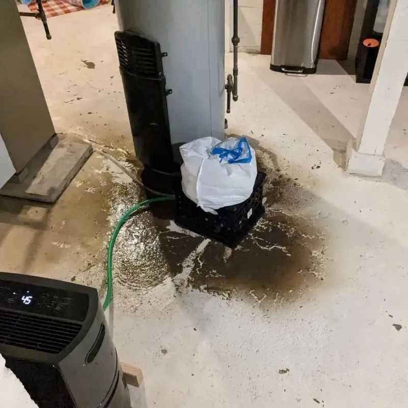 Sewage Backup Cleanup Service in Valley Falls, RI